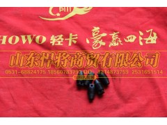 102013010-19,HAOWO豪沃轻卡锁紧螺钉,山东悍将商贸有限公司