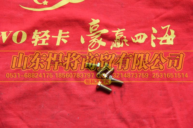 102035118,HOWO豪沃轻卡六角螺栓,山东悍将商贸有限公司
