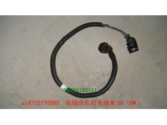 AZ9725770065,左组合后灯电线束,济南百思特驾驶室车身焊接厂