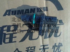 4327230,曲轴位置传感器,北京远大欧曼汽车配件有限公司