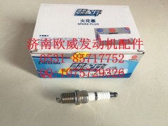 ,济南欧威,济南欧威重型汽配有限公司
