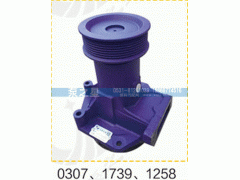 612600061258,水泵总成,山东泵之星动力有限公司