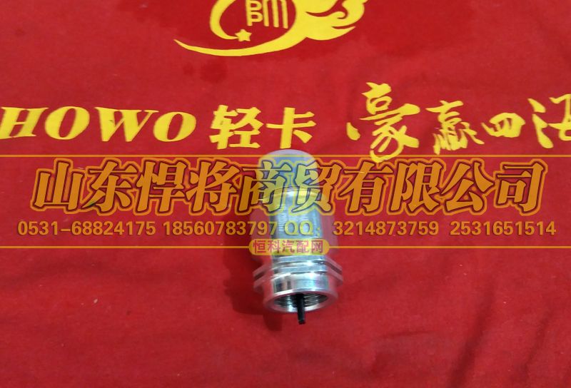 170411000894,HAOWO豪沃轻卡车速传感器,山东悍将商贸有限公司