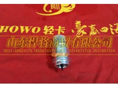170411000894,HAOWO豪沃轻卡车速传感器,山东悍将商贸有限公司