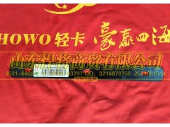 LG1611230072,HAOWO豪沃轻卡安装条,山东悍将商贸有限公司