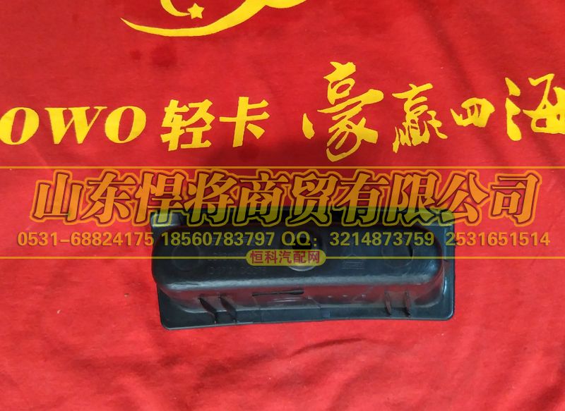 LG1611330025,HAOWO豪沃轻卡左前门拉手盖板,山东悍将商贸有限公司