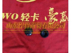 LG1611740060,HAOWO豪沃轻卡刮水器臂装饰盖,山东悍将商贸有限公司