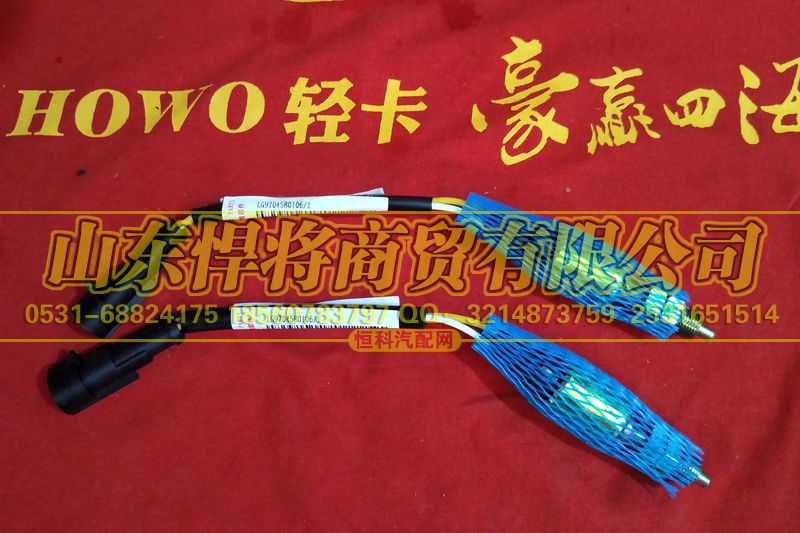 LG9704580106,HAOWO豪沃轻卡油门开关(离合器开关),山东悍将商贸有限公司