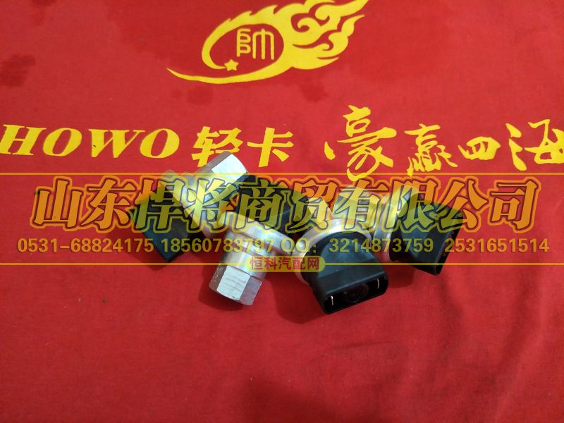 WG1200190040,HOWO豪沃轻卡干式空滤器堵塞指示器开关,山东悍将商贸有限公司