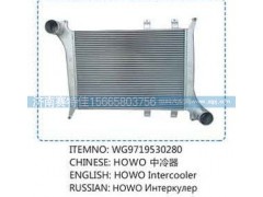 WG9719530280,豪沃中冷器,山东百基安国际贸易有限公司