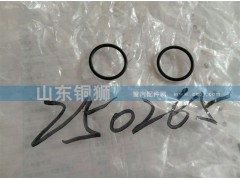 250265,,山东铜狮汽车零部件有限公司