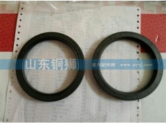 ,,山东铜狮汽车零部件有限公司