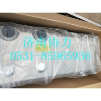 WG9925555702 600L踏板油箱