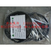 输入轴齿轮锁环