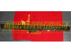 LG1611110021,HOWO豪沃轻卡窄体面罩装饰板,山东悍将商贸有限公司