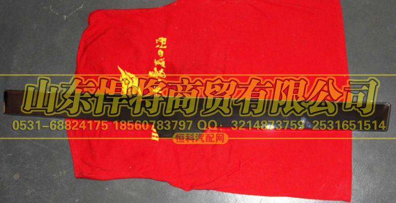 LG1613110021,HOWO豪沃轻卡宽体面罩装饰板,山东悍将商贸有限公司