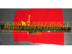 LG1613110021,HOWO豪沃轻卡宽体面罩装饰板,山东悍将商贸有限公司
