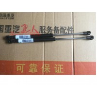 T5G气体弹簧支撑栓
