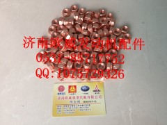 ,,济南欧威重型汽配有限公司