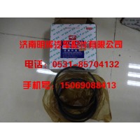 重汽豪沃轻卡配件，HOWO轻卡配件活塞环