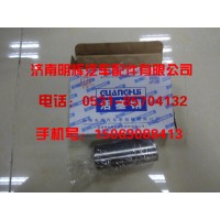 重汽豪沃轻卡配件，H0WO轻卡配件活塞销