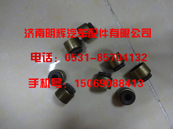 重汽豪沃轻卡配件，HOWO轻卡配件/DSC09251