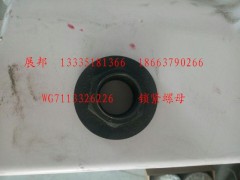 WG7113326226,锁紧螺母,济南冠泽卡车配件营销中心