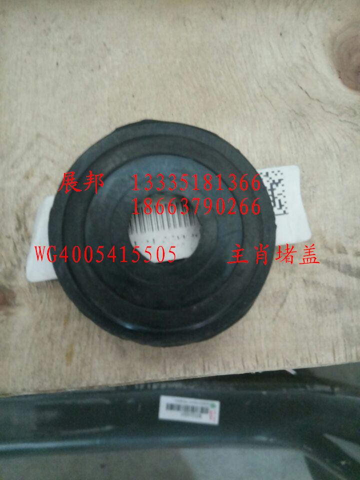 WG4005415505,主肖堵盖,济南冠泽卡车配件营销中心