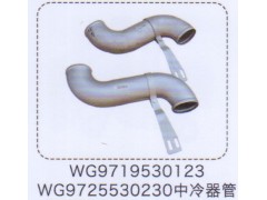 WG9725530230,中冷器管,济南泉信汽配