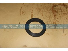 JS85T-1707108,鸿沃达,济南鸿沃达汽配有限公司