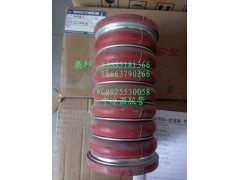 WG9925530058,中冷器胶管,济南冠泽卡车配件营销中心