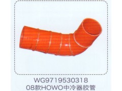 WG9719530318,豪沃HOWO08款中冷器胶管,济南泉信汽配