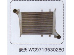 WG9719530280,中冷器总成,济南泉信汽配