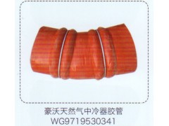 WG9719530341,豪沃天然气中冷器胶管,济南泉信汽配