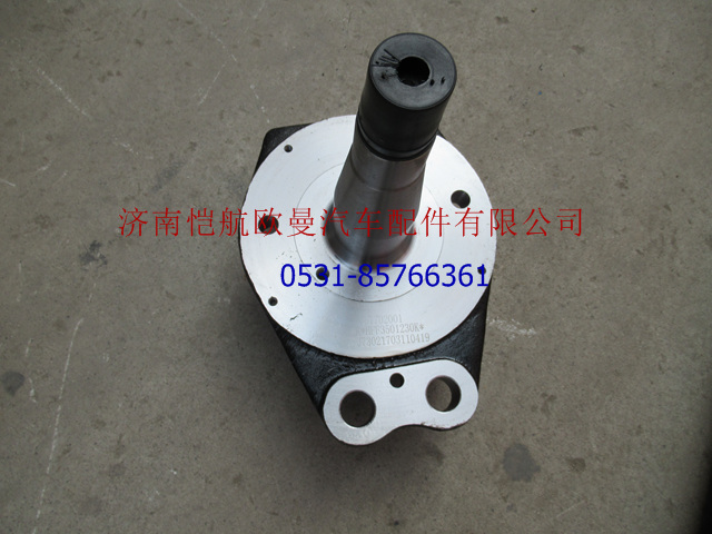 HFF3501230K,转向节总成,济南恺航欧曼汽车配件有限公司
