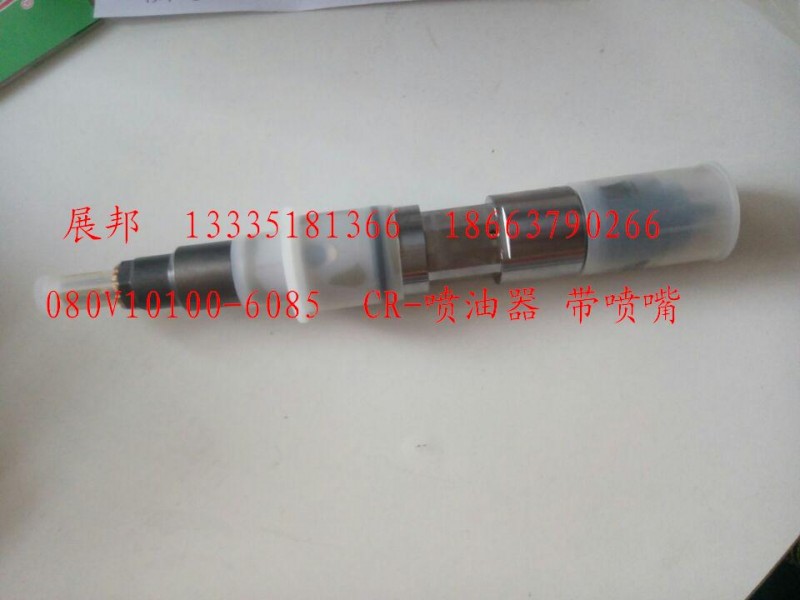 080V10100-6085,CR-喷油器 带喷嘴,济南冠泽卡车配件营销中心