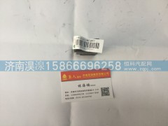 812W255036021/1,轴间差速锁开关,济南淏湶商贸有限公司