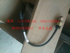 WG9925820032,开关总成,济南冠泽卡车配件营销中心