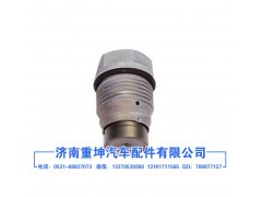 1110010022,泄压阀,济南重坤汽车配件有限公司