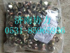 190003888453,2型全金属六角锁紧螺母,济南明钜汽车配件有限公司（原济南协力）