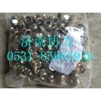 190003888453  2型全金属六角锁紧螺母