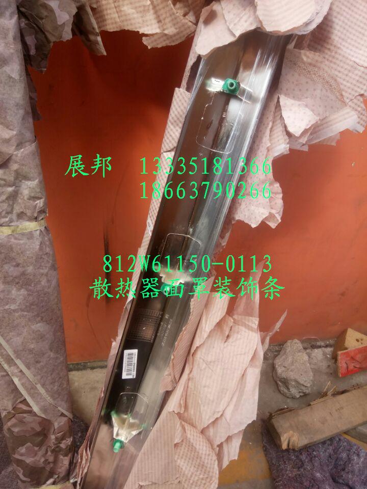 散热器面罩装饰条/812W61150-0113