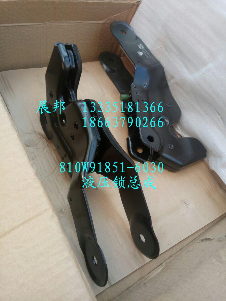 液壓鎖總成/810W61851-6030