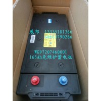 165Ah免維護蓄電池