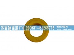 199100680066,稳定杆衬套,济南驰南原厂电器