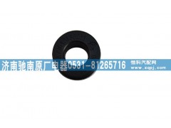 AZ1642430263,驾驶室翻转衬套,济南驰南原厂电器