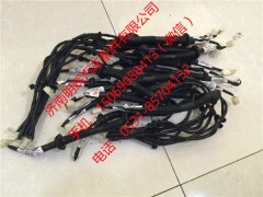 LG9704770004,重汽HOWO轻卡配件车门线束,济南明辉汽车配件有限公司