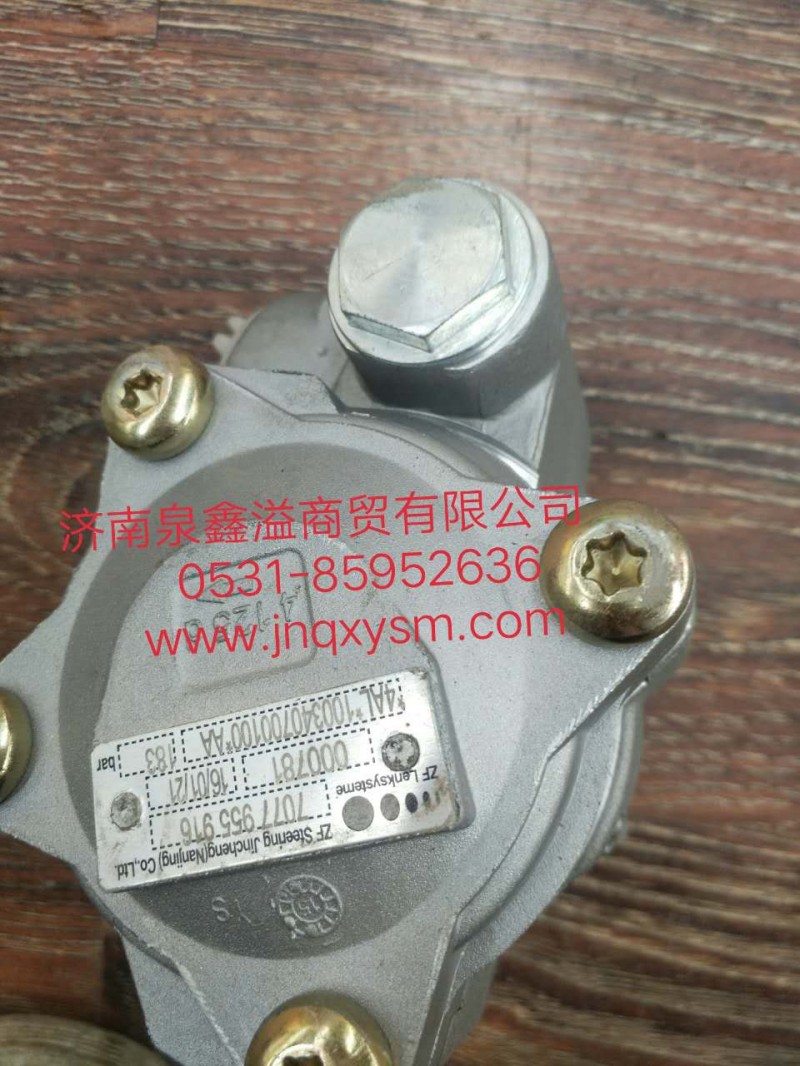 100340700100,动力转向泵,济南泉鑫溢商贸有限公司