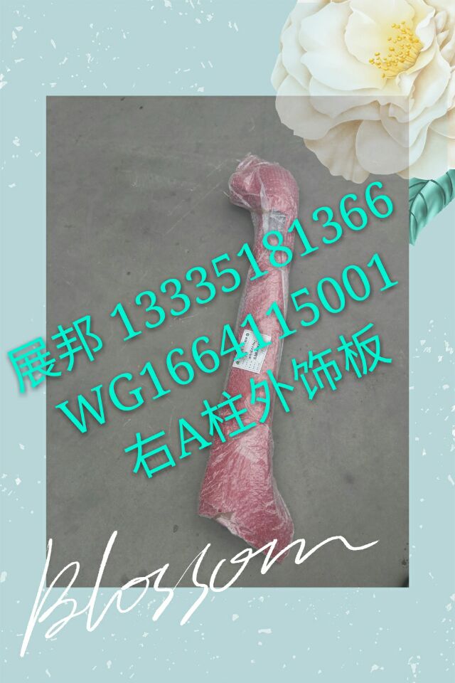 WG1664115001,右A柱外饰板,济南冠泽卡车配件营销中心