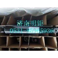 WG8710680031  减震器总成